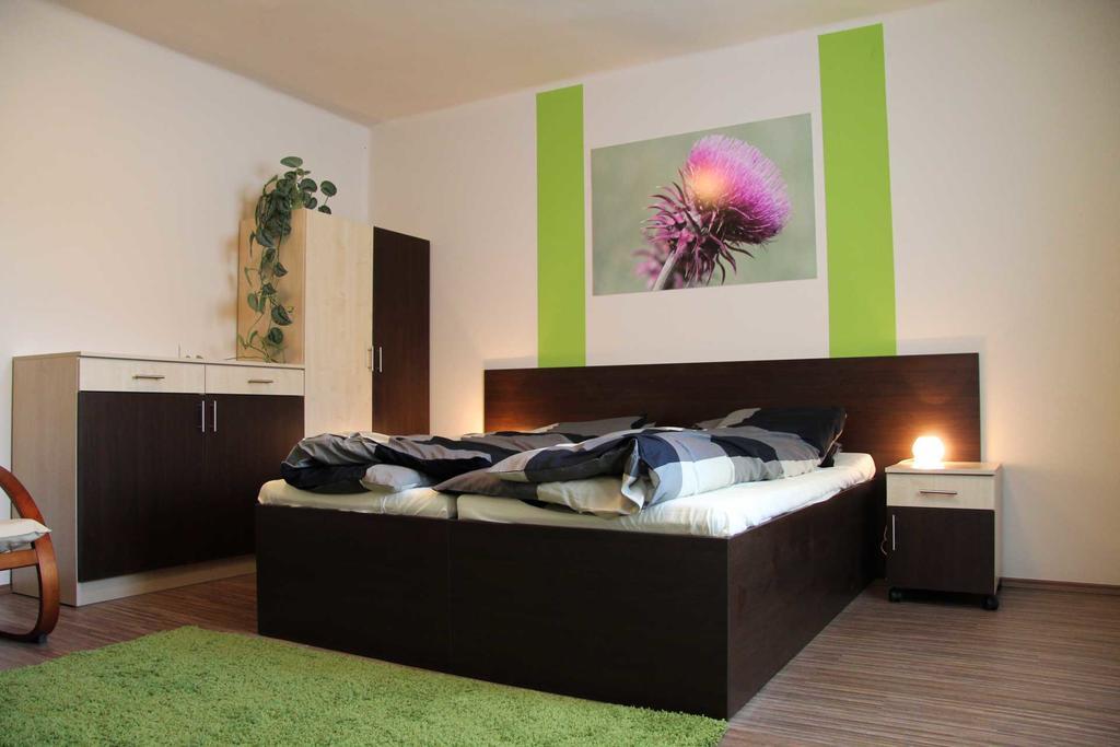 Irisz Apartmanhaz Morahalom Ruang foto